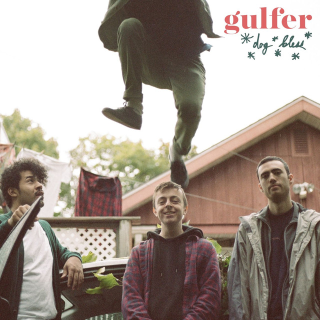 Gulfer Photo