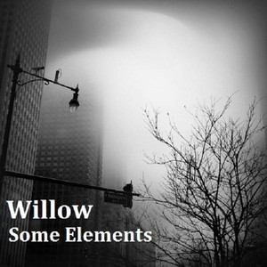 Some Elements cover