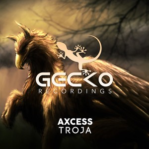 Axcess