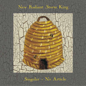 Singular - No Article cover