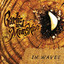 In Waves Albumcover