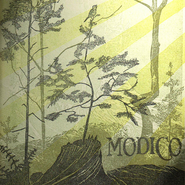 Modico Photo