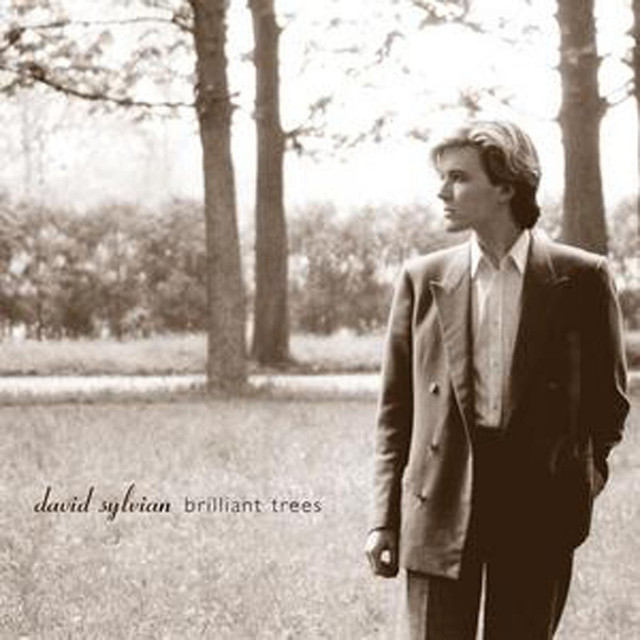 Brilliant Trees cover