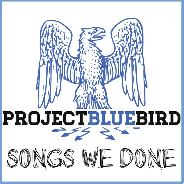 Project Bluebird photo