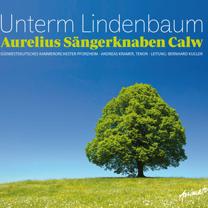 Aurelius Sangerknaben Calw