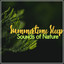 Summertime Sleep Sounds of Nature cover