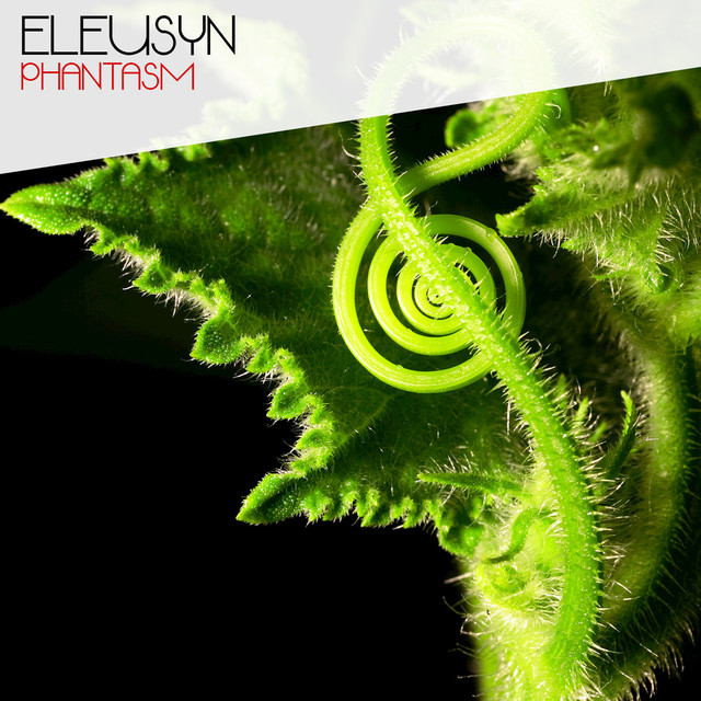 Eleusyn Photo