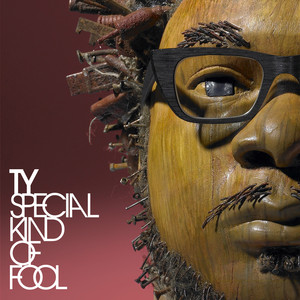 Special Kind of Fool cover