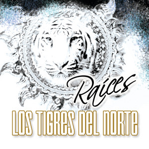 Raíces cover