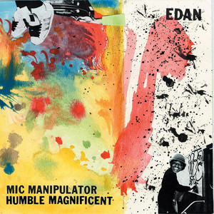 Mic Manipulator cover