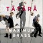 Maximum Brass Albumcover