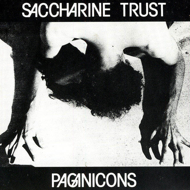 Paganicons cover