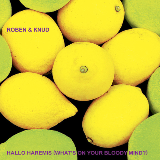 Hallo Haremis (what's On Your Bloody Mind?) cover