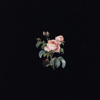 Site Zero Photo
