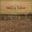 Bristle Ridge cover