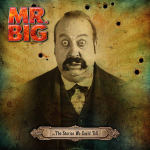 ...The Stories We Could Tell album