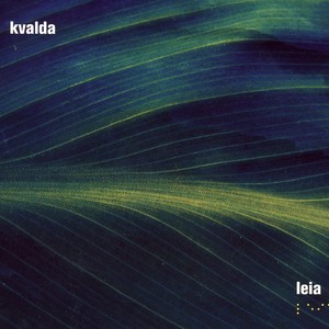 Leia (feat. Aili Ikonen, Jori Huhtala, Hanne Pulli, Antti Kujanpää) Albumcover