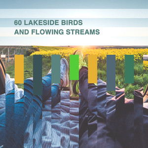 60 Lakeside Birds and Flowing Streams album