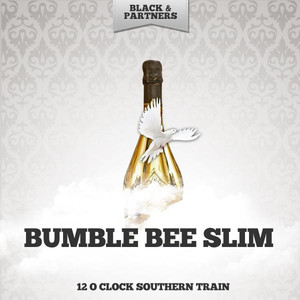 12 O Clock Southern Train cover