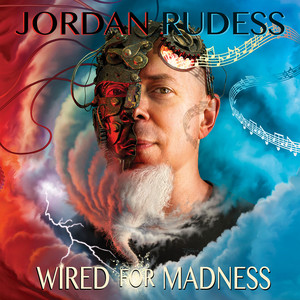 Wired for Madness cover