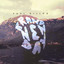 Brand New Day Albumcover
