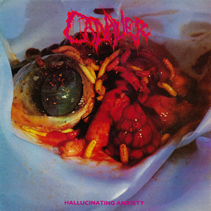 Hallucinating Anxiety cover