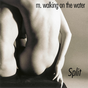 Split cover