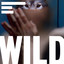 Wild Soundtrack cover