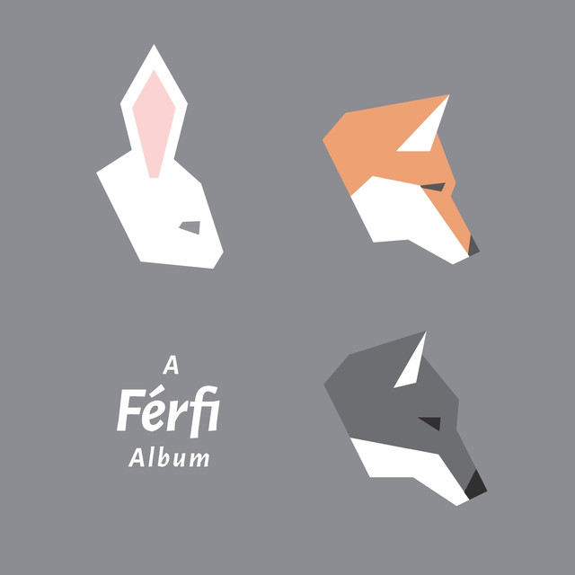 A Férfi Album cover