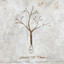 Seed to Tree