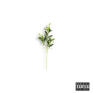 Olive Branch cover