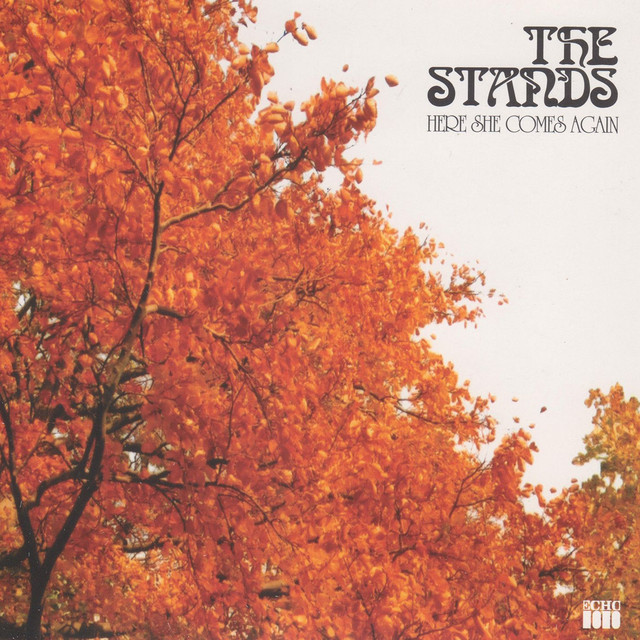 Here She Comes Again cover