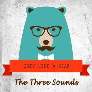 Cozy Like A Bear album