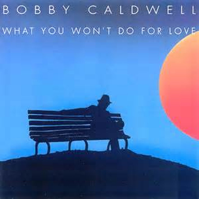 What You Won't Do For Love cover