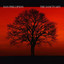 The Sanctuary Albumcover
