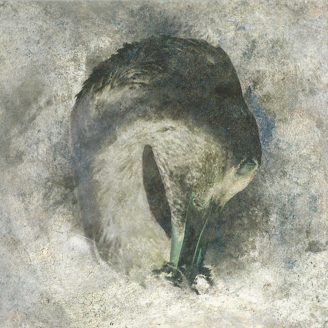 Ashes cover