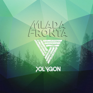 Polygon cover