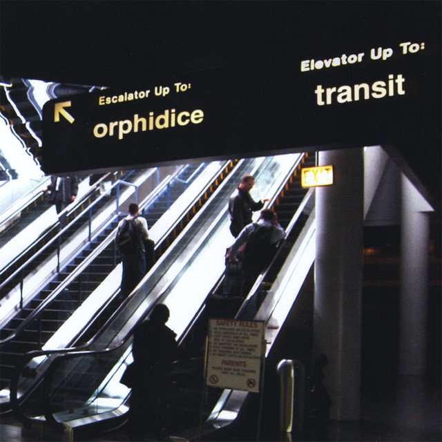 Orphidice Photo