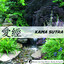 Kama Sutra - Music For The Mind, Body & Spirit! Albumcover