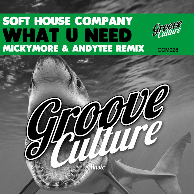 Soft House Company Photo