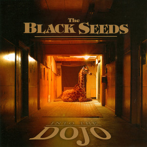 Into the Dojo album