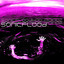 Sonicflood cover