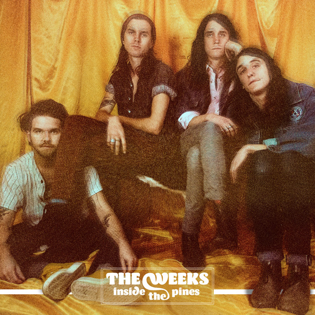 Inside The Pines cover
