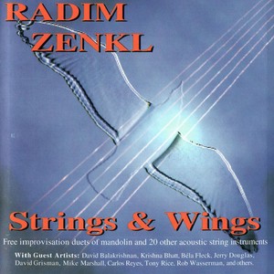 Strings & Wings Albumcover