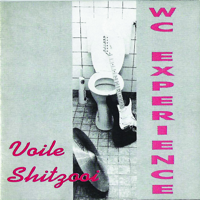 Voile Shitzooi cover