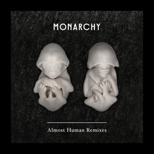Almost Human (Remixes) cover