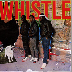 Whistle cover