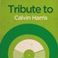Tribute to Calvin Harris Albumcover