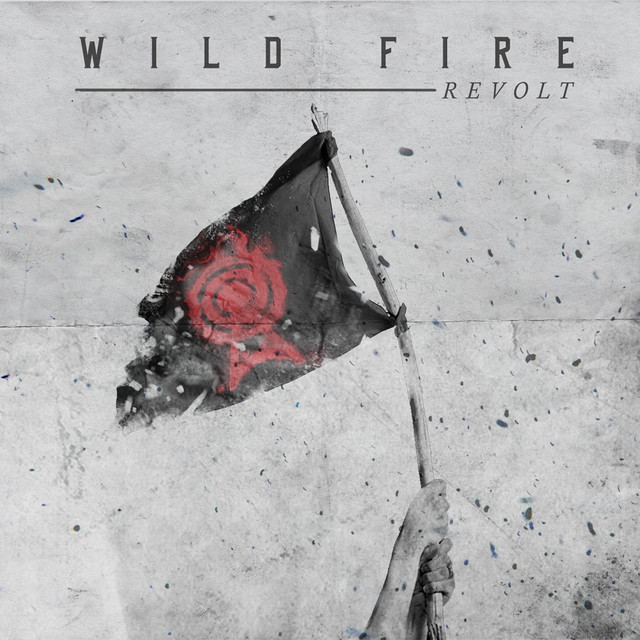 Wild Fire Photo