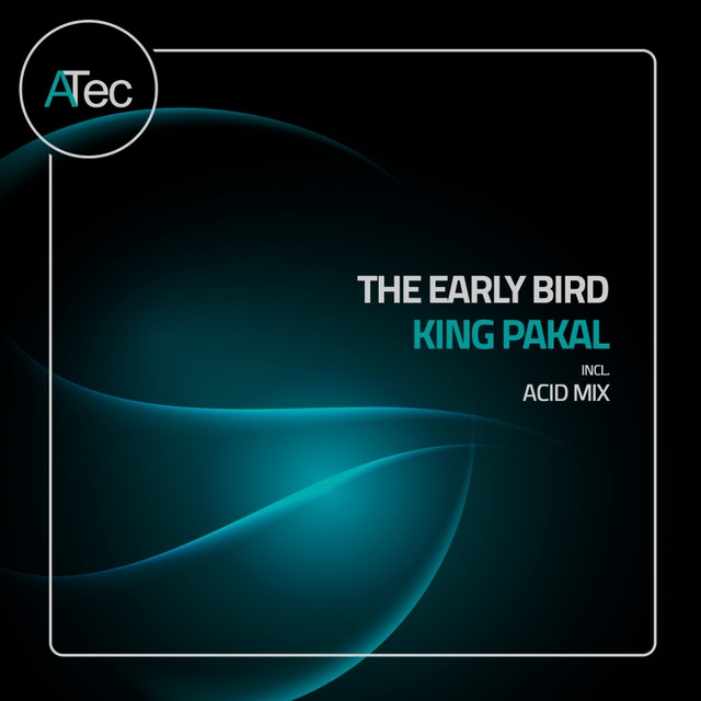 The Early Bird Photo